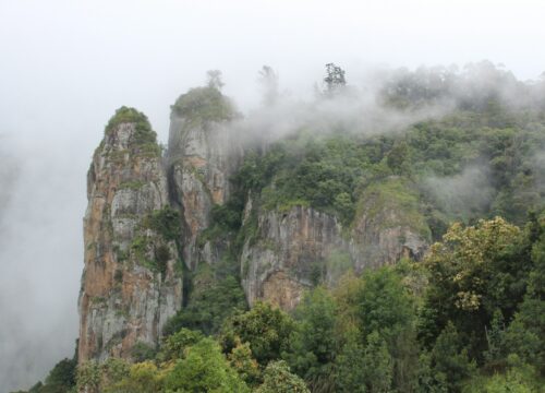 A Mesmerizing Getaway to Kodaikanal