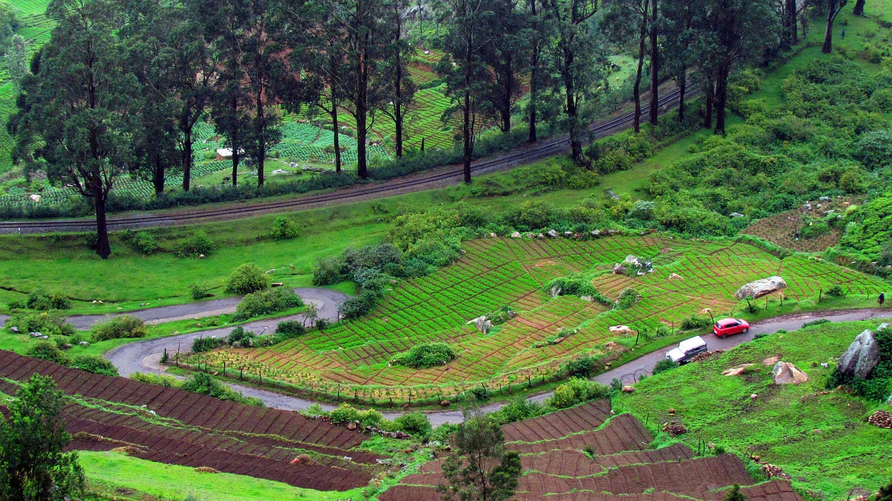 Explore Ooty