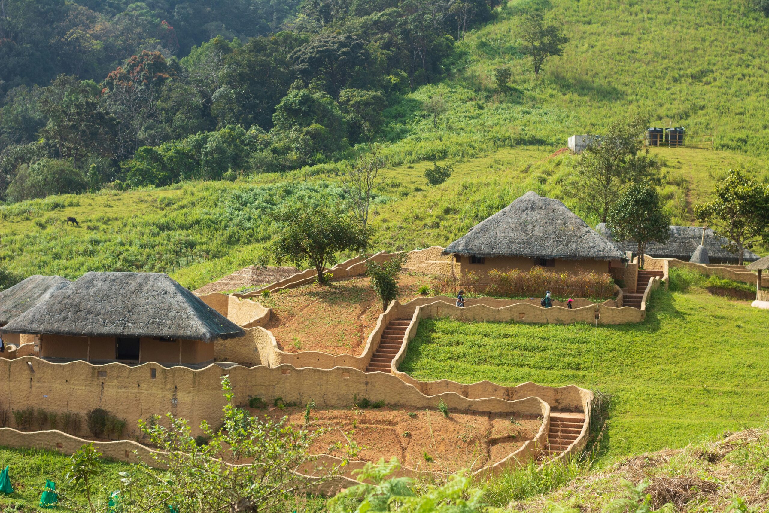 Enchanting Kerala Journey Through God's Own Country