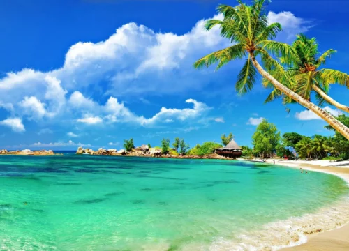 Unveiling Goa's Treasures: A 3-Day Journey Through Sun, Sand, and Heritage