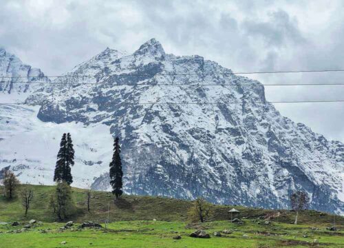 Enchanting Kashmir Escape Day Journey into Paradise
