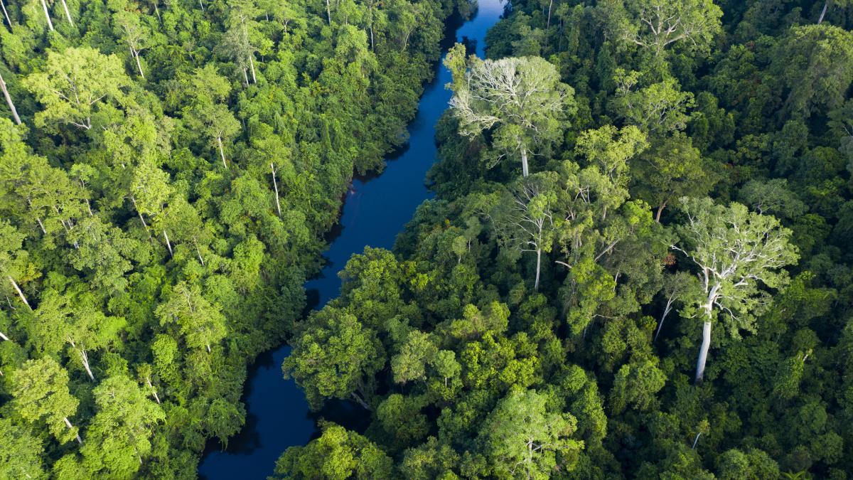10-Day Sacred Journey: 12 Jyotirlinga Temple Darshan Pilgrimage
