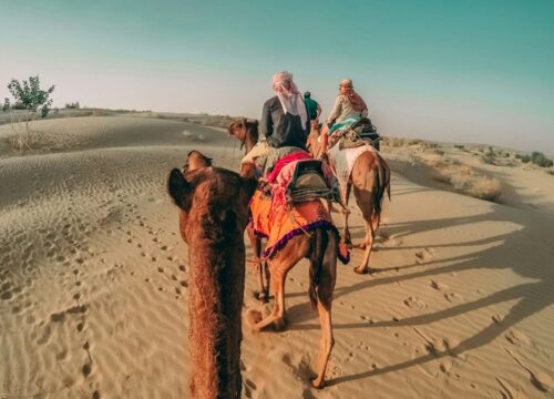 Enchanting Rajasthan: A 7-Day Journey Through India's Royal Heritage