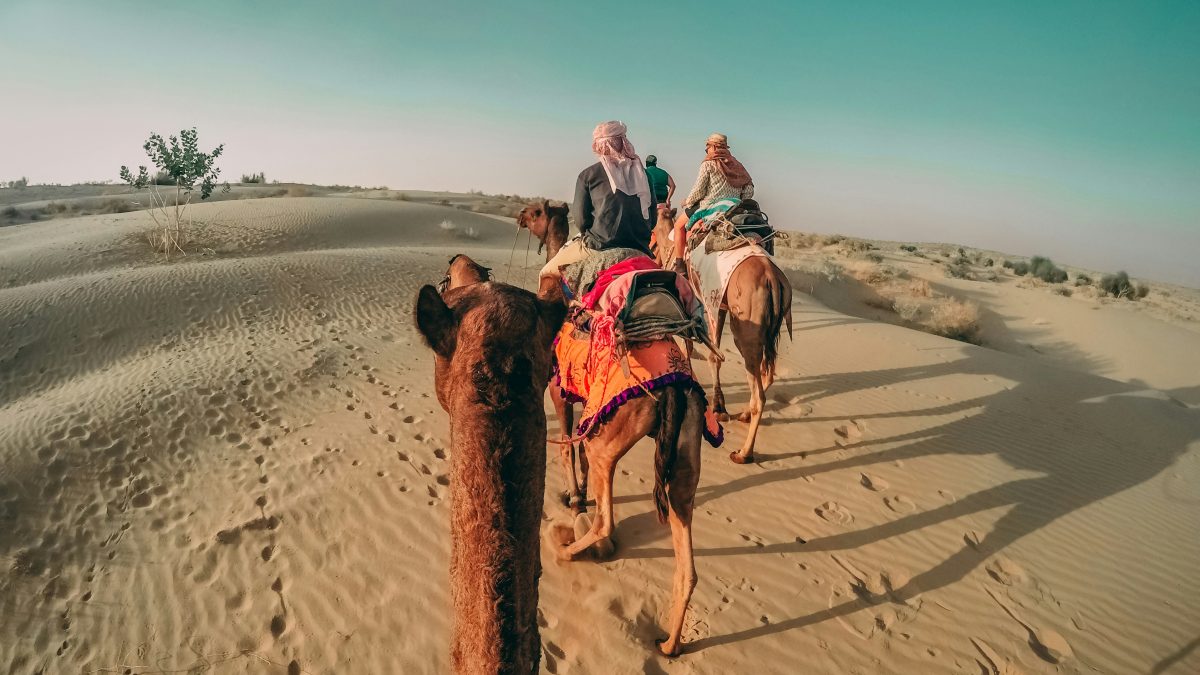 Enchanting Rajasthan: A 7-Day Journey Through India's Royal Heritage